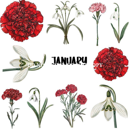 BIRTH FLOWER - FLAIR SHEET