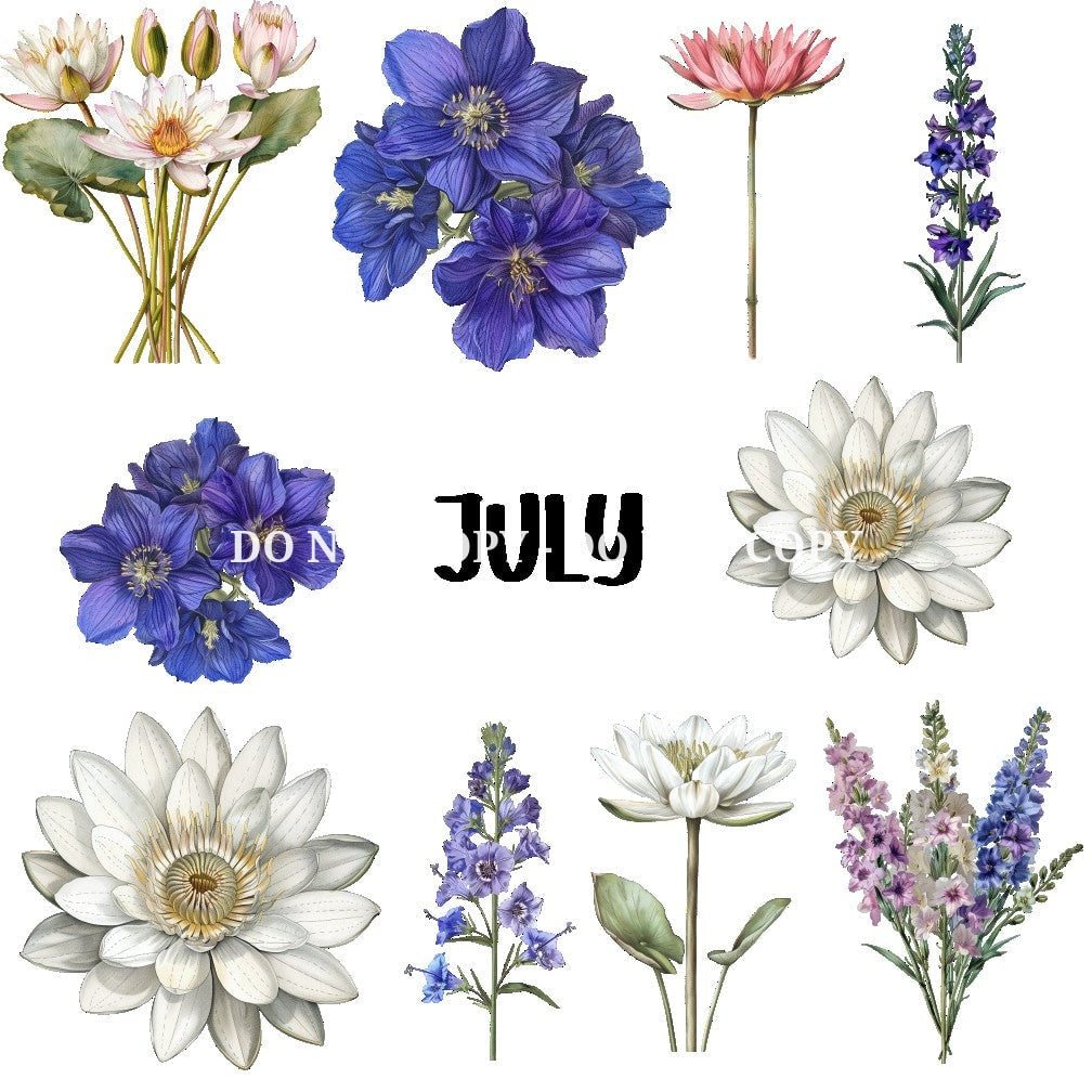 BIRTH FLOWER - FLAIR SHEET