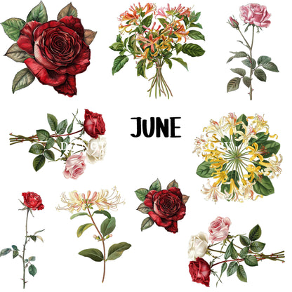 BIRTH FLOWER - FLAIR SHEET