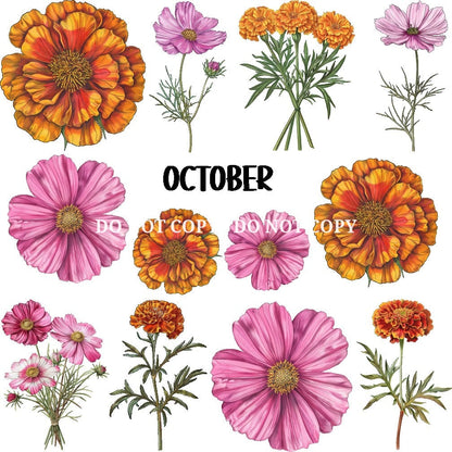 BIRTH FLOWER - FLAIR SHEET