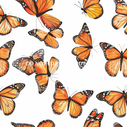 MONARCH BUTTERFLY - MULTIPLE VARIATIONS
