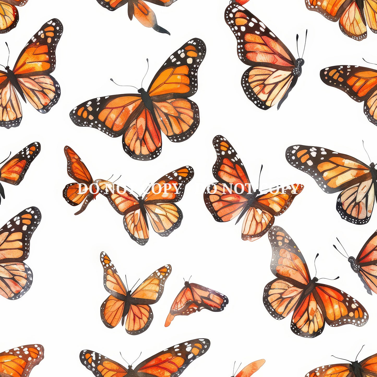 MONARCH BUTTERFLY - MULTIPLE VARIATIONS