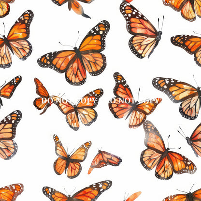MONARCH BUTTERFLY - MULTIPLE VARIATIONS