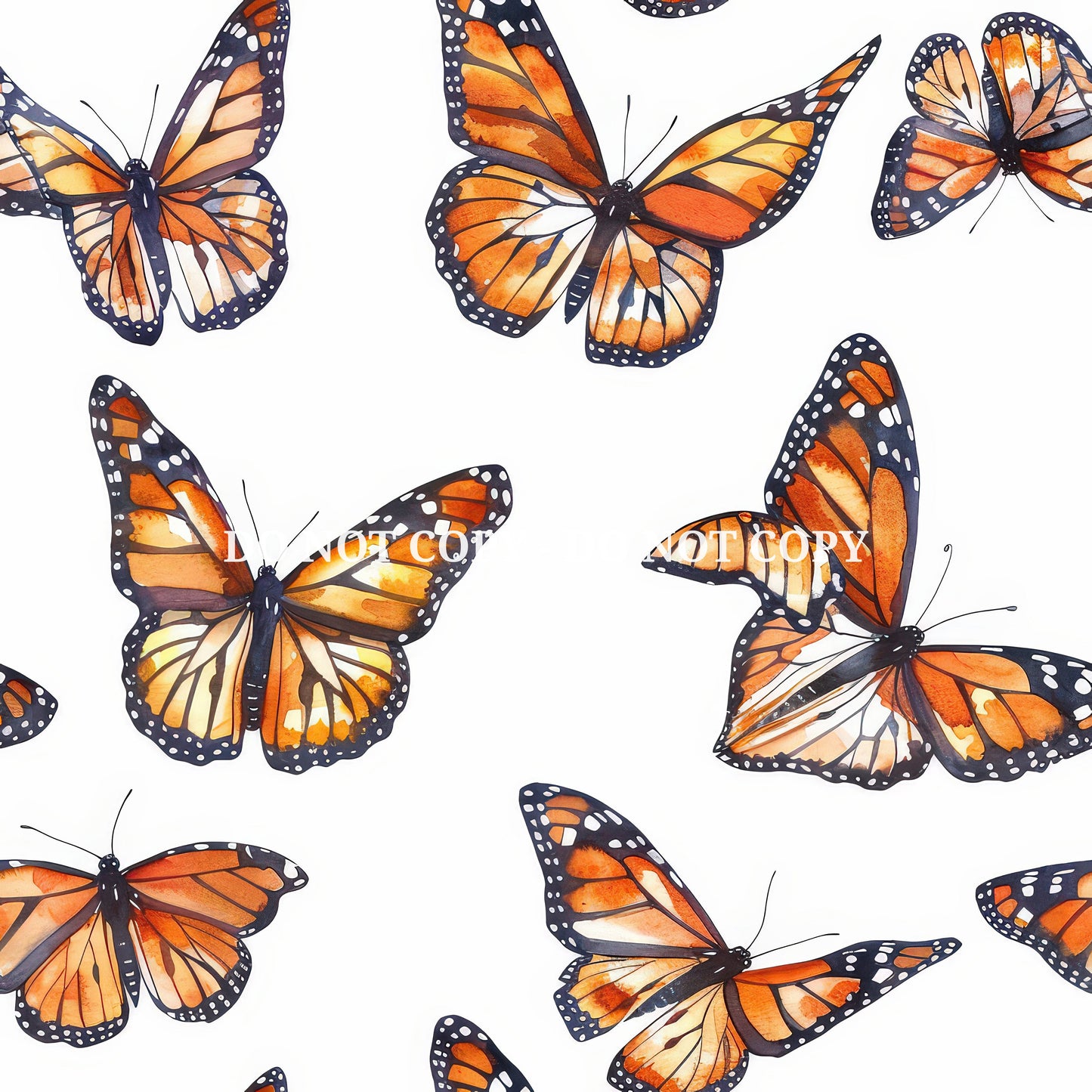 MONARCH BUTTERFLY - MULTIPLE VARIATIONS