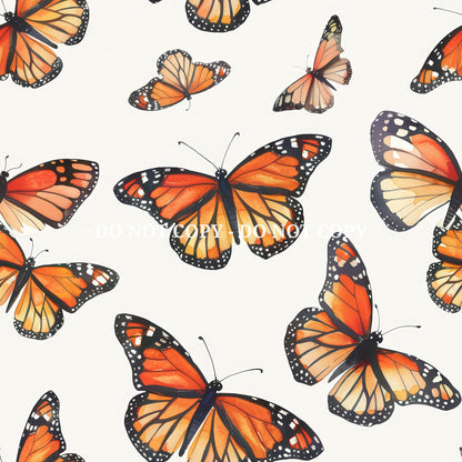 MONARCH BUTTERFLY - MULTIPLE VARIATIONS