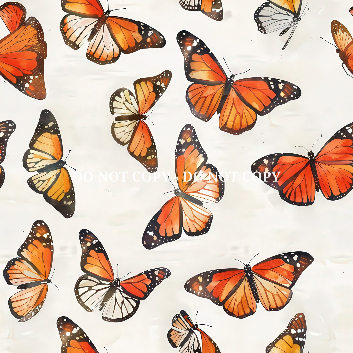 MONARCH BUTTERFLY - MULTIPLE VARIATIONS