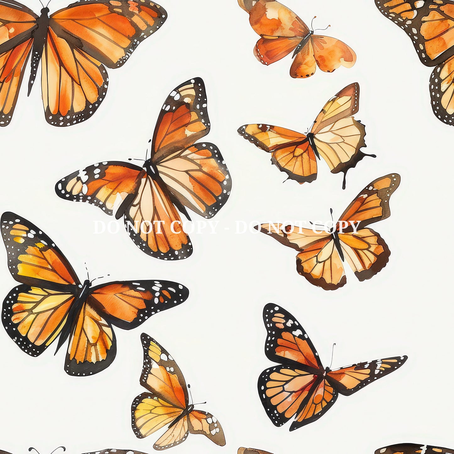 MONARCH BUTTERFLY - MULTIPLE VARIATIONS