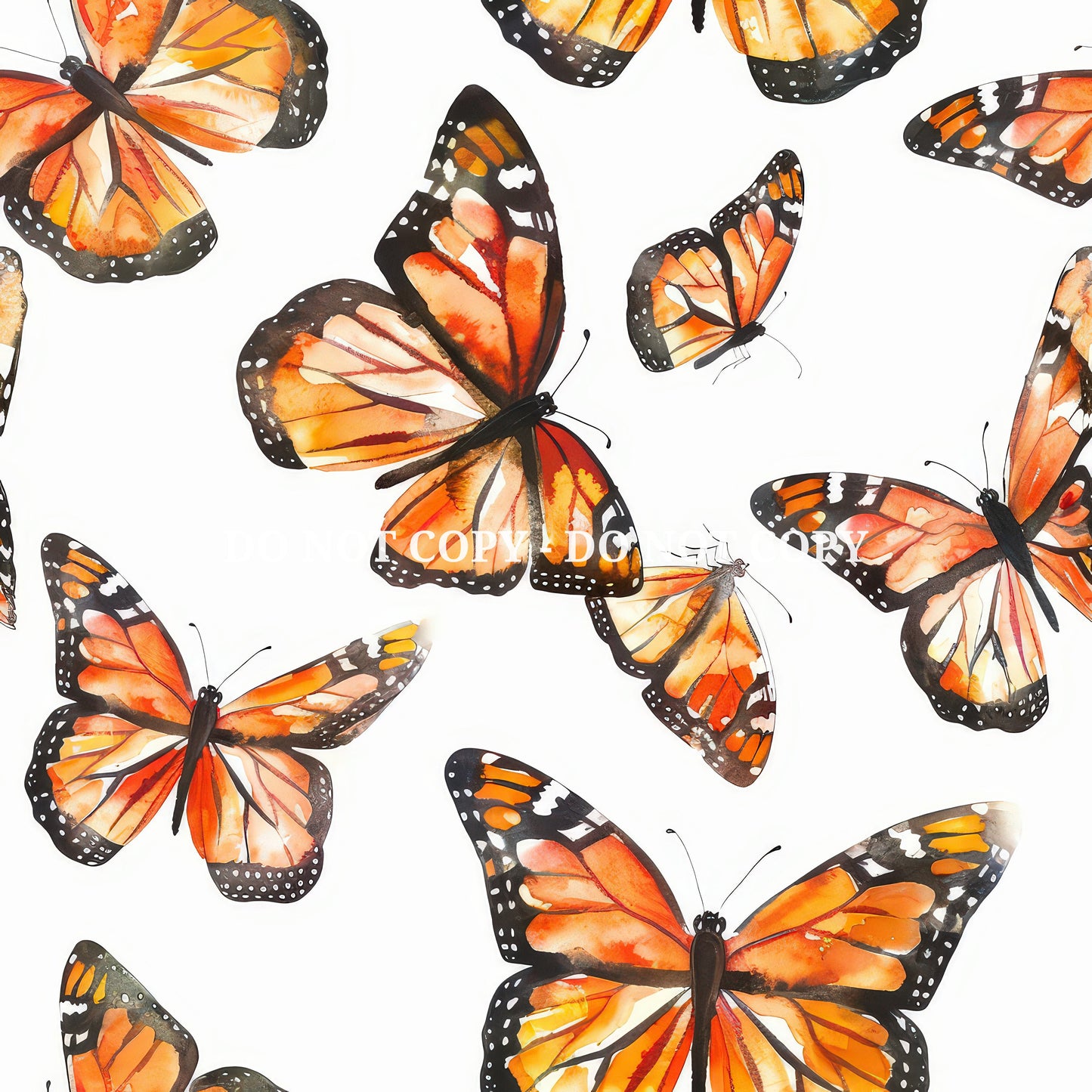 MONARCH BUTTERFLY - MULTIPLE VARIATIONS