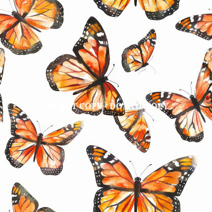 MONARCH BUTTERFLY - MULTIPLE VARIATIONS