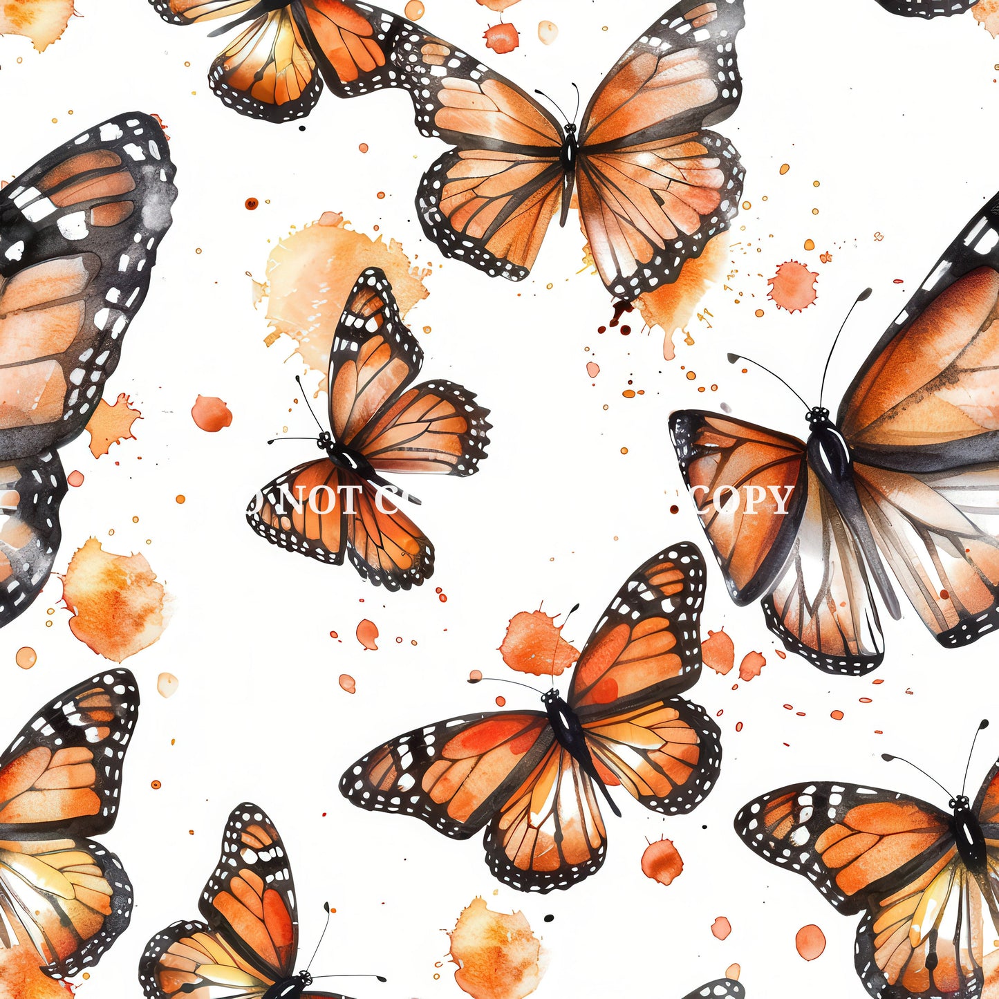 MONARCH BUTTERFLY - MULTIPLE VARIATIONS