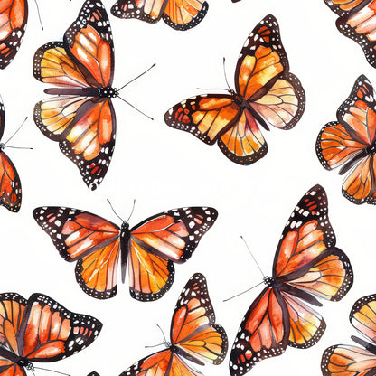 MONARCH BUTTERFLY - MULTIPLE VARIATIONS