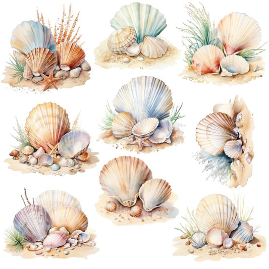 SEASHELLS - FLAIR SHEET