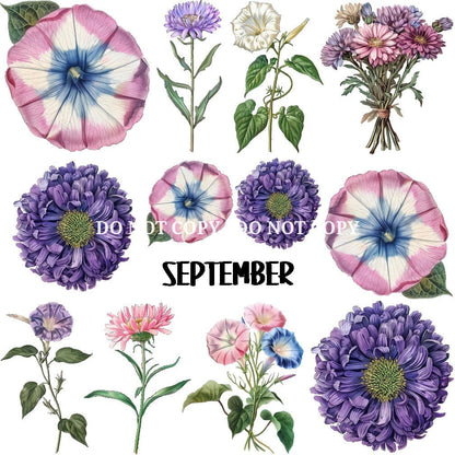 BIRTH FLOWER - FLAIR SHEET