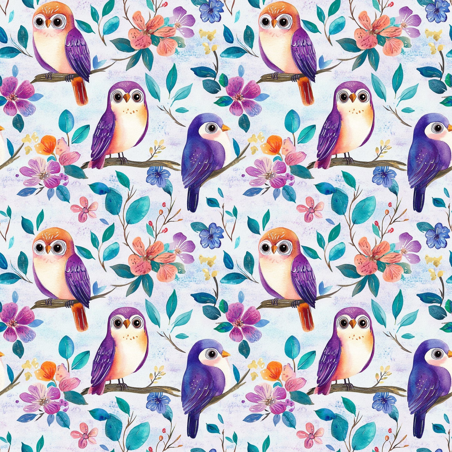 OWLS AND BIRDS - MULTIPLE VARIATIONS