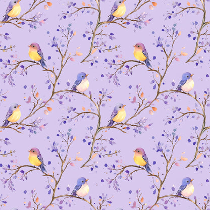 OWLS AND BIRDS - MULTIPLE VARIATIONS