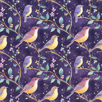 OWLS AND BIRDS - MULTIPLE VARIATIONS