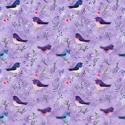 OWLS AND BIRDS - MULTIPLE VARIATIONS