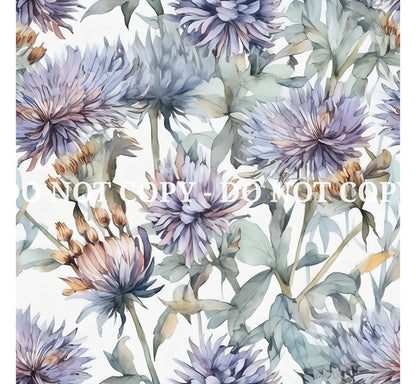 ASTER FLOWERS - MULTIPLE VARIATIONS