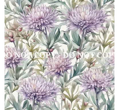 ASTER FLOWERS - MULTIPLE VARIATIONS