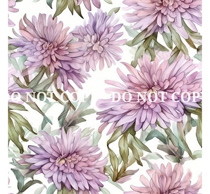 ASTER FLOWERS - MULTIPLE VARIATIONS