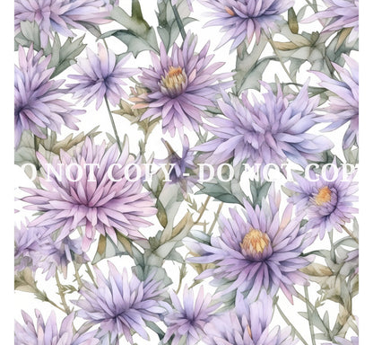 ASTER FLOWERS - MULTIPLE VARIATIONS