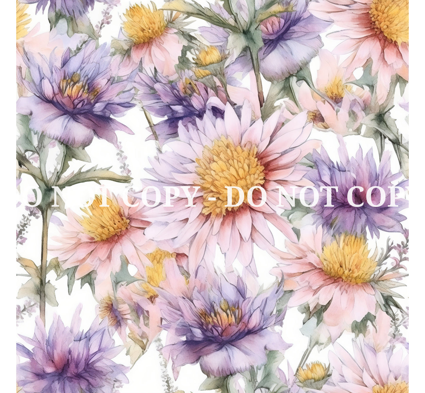 ASTER FLOWERS - MULTIPLE VARIATIONS