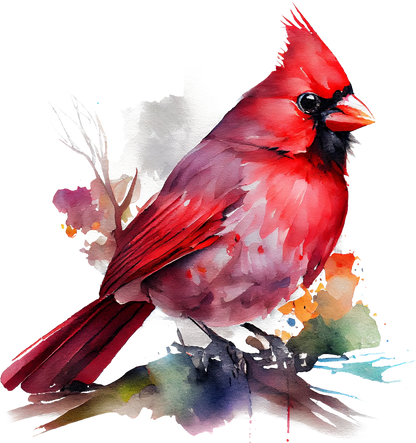 Watercolor Cardinals - White Cast Decals