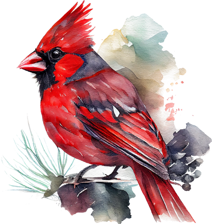 Watercolor Cardinals - White Cast Decals