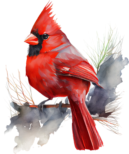 Watercolor Cardinals - White Cast Decals