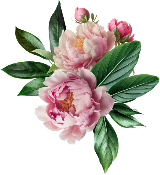 PINK PEONY -  Decals