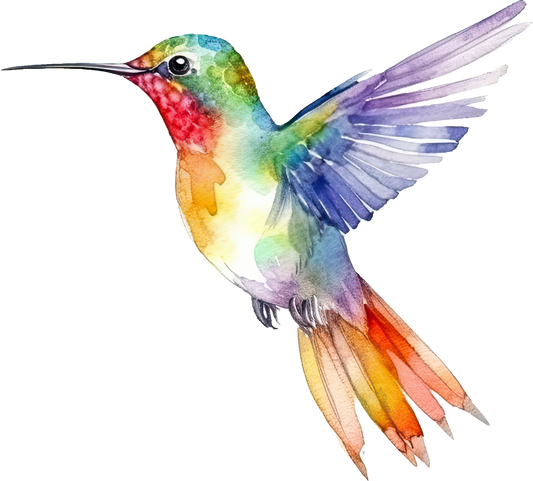 Watercolor Rainbow Hummingbirds - White Cast Decals